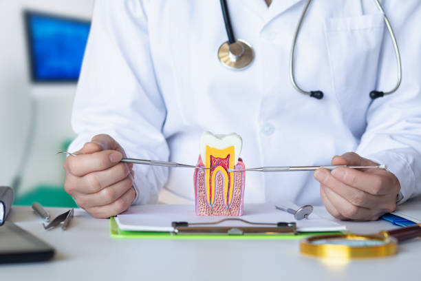 Best Orthodontic Emergency Dentist in North Enid, OK